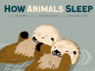 book cover for How Animals Sleep