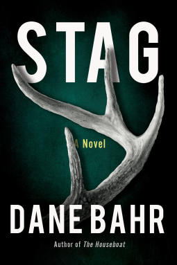 book cover for Stag