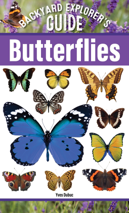 book cover for Backyard Explorer's Guide: Butterflies