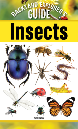 book cover for Backyard Explorer's Guide: Insects