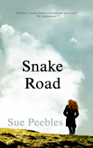 book cover for Snake Road