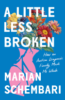 book cover for A Little Less Broken