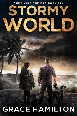 book cover for Stormy World