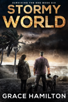 book cover for Stormy World