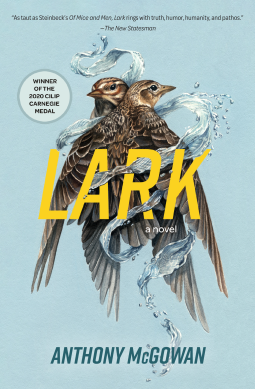 book cover for Lark