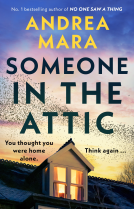 book cover for Someone in the Attic
