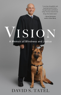 book cover for Vision