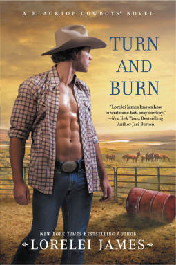 book cover for Turn and Burn