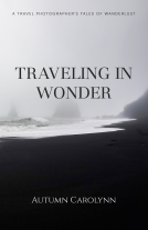 book cover for Traveling in Wonder