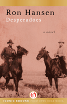 book cover for Desperadoes