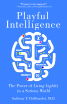 book cover for Playful Intelligence