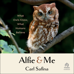 book cover for Alfie and Me