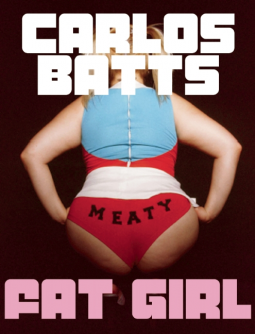 book cover for Fat Girl
