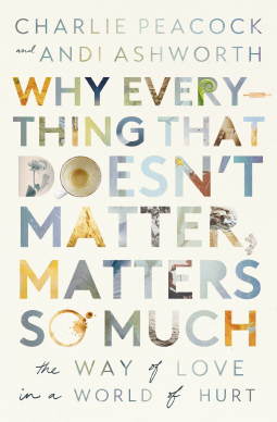 book cover for Why Everything That Doesn't Matter, Matters So Much