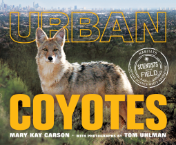 book cover for Urban Coyotes