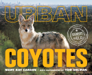 book cover for Urban Coyotes