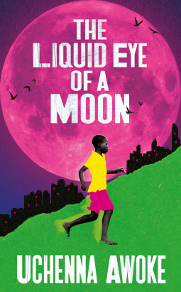 book cover for The Liquid Eye of a Moon