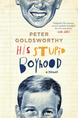 book cover for His Stupid Boyhood