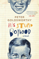 book cover for His Stupid Boyhood
