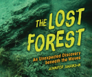 book cover for The Lost Forest