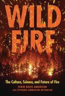 book cover for Wildfire