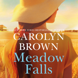 book cover for Meadow Falls