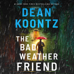 book cover for The Bad Weather Friend