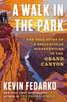 book cover for A Walk in the Park