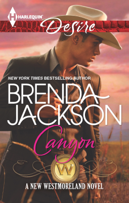 book cover for Canyon