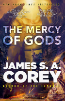 book cover for The Mercy of Gods