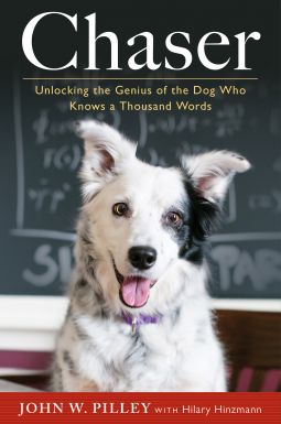book cover for Chaser