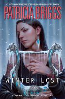 book cover for Winter Lost