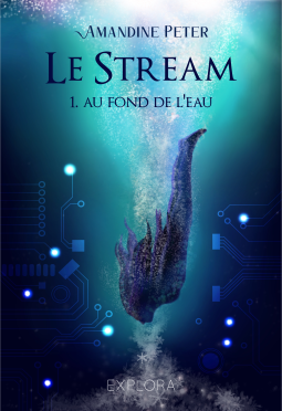 Couverture du livre pour Le Stream