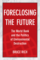 book cover for Foreclosing the Future