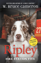 book cover for Ripley: Fire Station Five