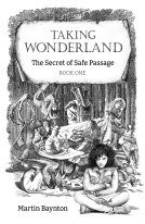book cover for The Secret of Safe Passage