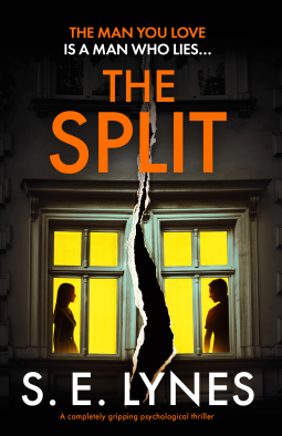 book cover for The Split