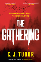 book cover for The Gathering