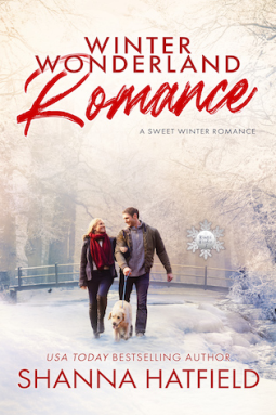 book cover for Winter Wonderland Romance