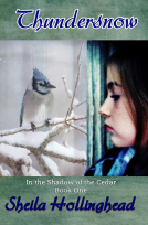 book cover for Thundersnow