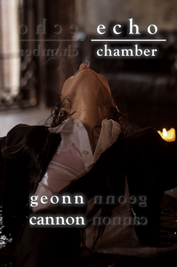 book cover for Echo Chamber