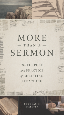 book cover for More than a Sermon