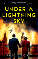 book cover for Under a Lightning Sky