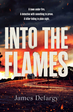 book cover for Into the Flames