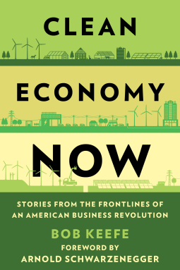 book cover for Clean Economy Now