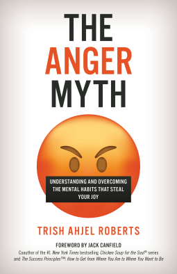 book cover for The Anger Myth
