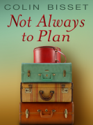 book cover for Not Always to Plan