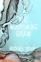 book cover for The Winnowing Draw