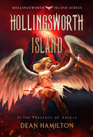 book cover for Hollingsworth Island