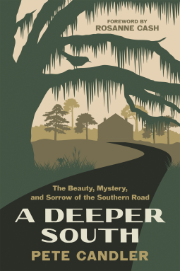 book cover for A Deeper South